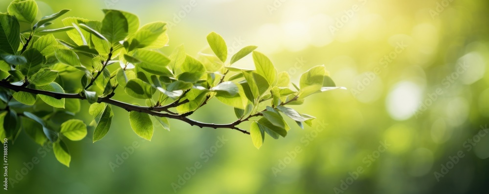 Lush green foliage in spring embellishes the tranquil park scene, creating a mesmerizing bokeh effect. Captivating natural backdrop Lush green foliage in spring embellishes the tranquil park scene, creating a mesmerizing bokeh effect. Captivating natural backdrop