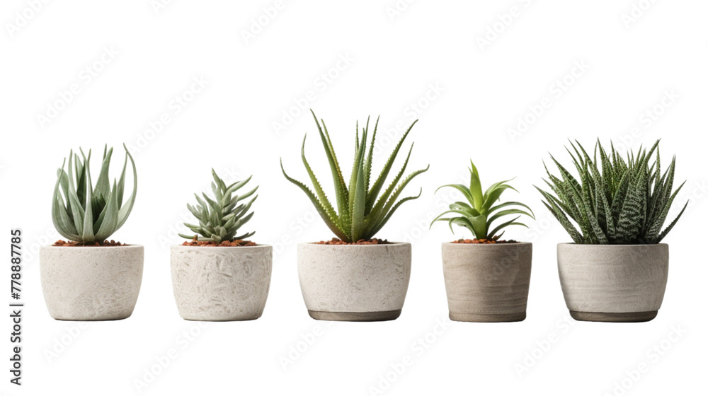 fiber pots with fake plant isolated on white background ,Modern Cement pots with plants , Modern flowerpot,Fiberclay Pot,Concrete terrazzo lightweight