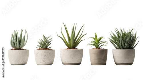 fiber pots with fake plant isolated on white background ,Modern Cement pots with plants , Modern flowerpot,Fiberclay Pot,Concrete terrazzo lightweight photo