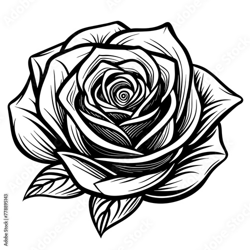 Wallpaper Mural    Flower silhouette  vector illustration.
 Torontodigital.ca