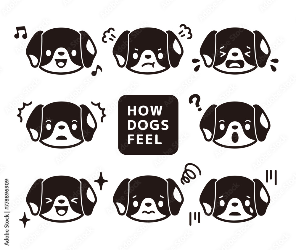 Fototapeta premium Clip art set of black and white cute Beagle face