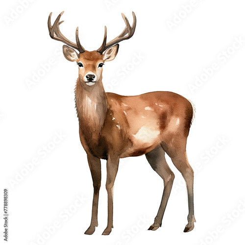 AI-generated watercolor cute deer clip art illustration. Isolated elements on a white background.