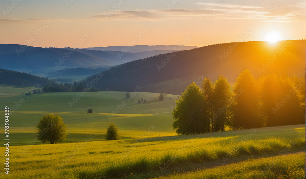 Obraz premium Evening sun during sunset in czech national pak Ceske Svycarsko