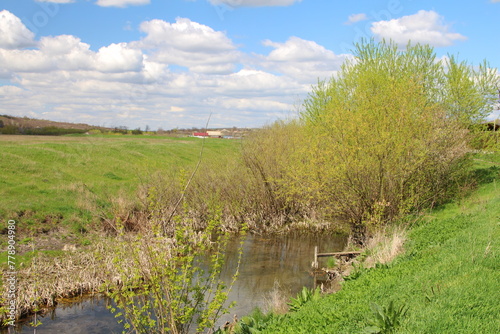 A stream with grass and trees