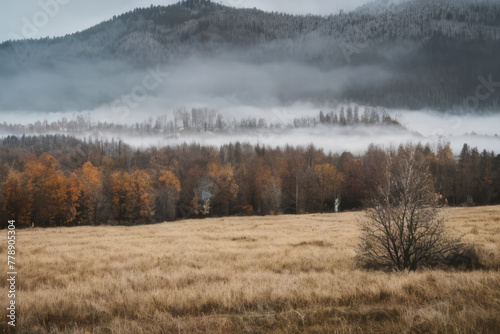 Foggy mountains shrouded in mist create a mysterious landscape at sunrise