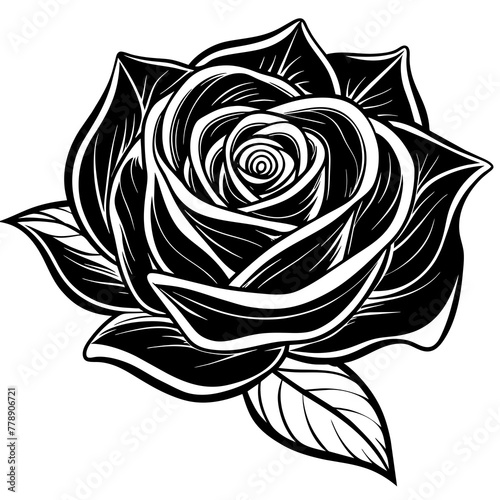    Flower vector illustration.
