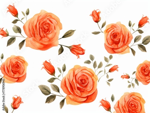 Coral roses watercolor clipart on white background, defined edges floral flower pattern background with copy space for design text or photo backdrop minimalistic © Celina