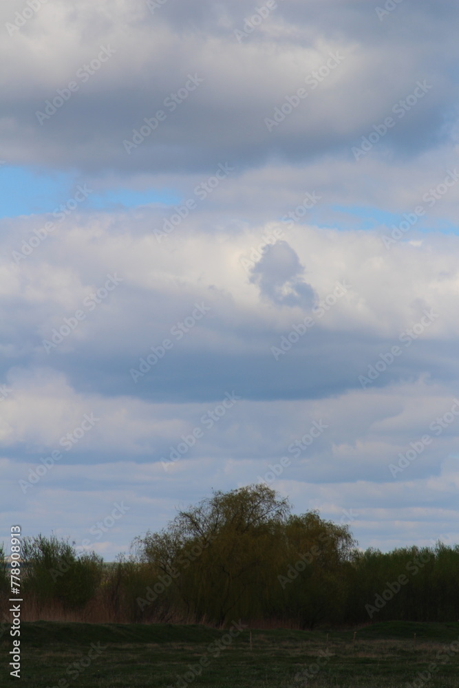 Obraz premium A field with trees and clouds