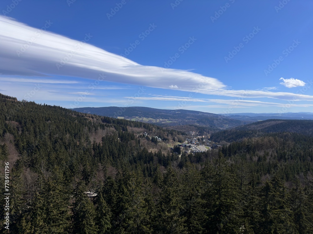 Fototapeta premium A view of towering mountains and tall trees in a scenic landscape