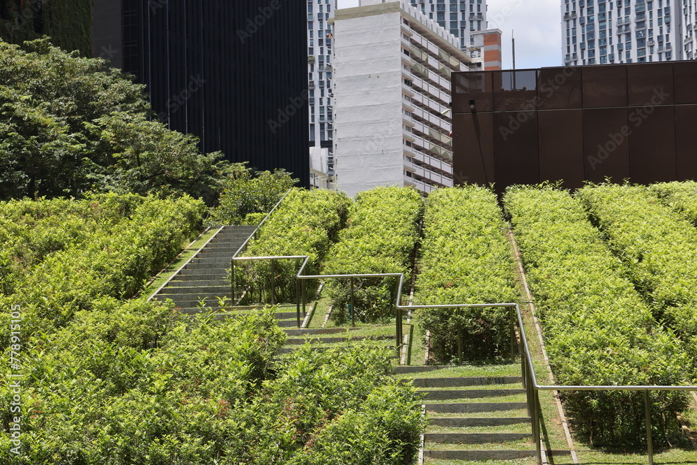 Scenic park in Singapore on March 1, 2024