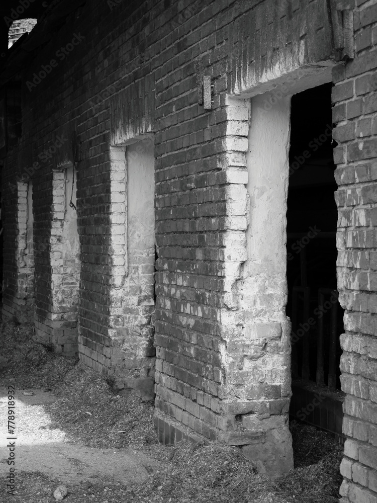 Fototapeta premium Old doors to a cow, horse or pigsty, black and white photograph