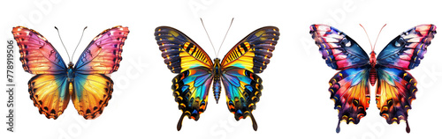 Color butterfly © Zaleman