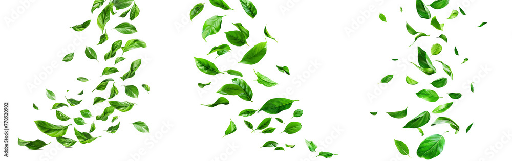 Green Floating Leaves Flying Leaves Green Leaf Dancing