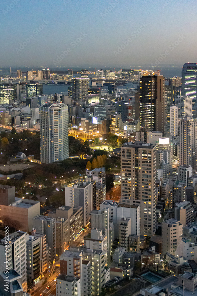 High angle night view of Tokyo, Japan, cityscape at dusk