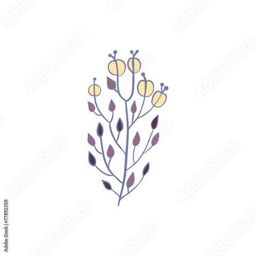 Colorful flower, hand drawn, vector flat illustration. Flowering plants with stems and leaves isolated on white. Floral decoration or gift. for your design