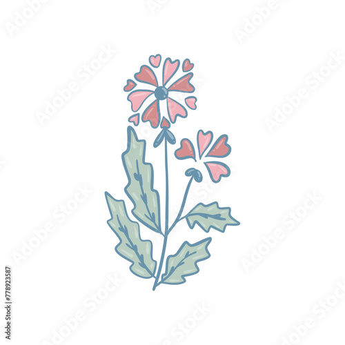 Colorful flower, hand drawn, vector flat illustration. Flowering plants with stems and leaves isolated on white. Floral decoration or gift. for your design