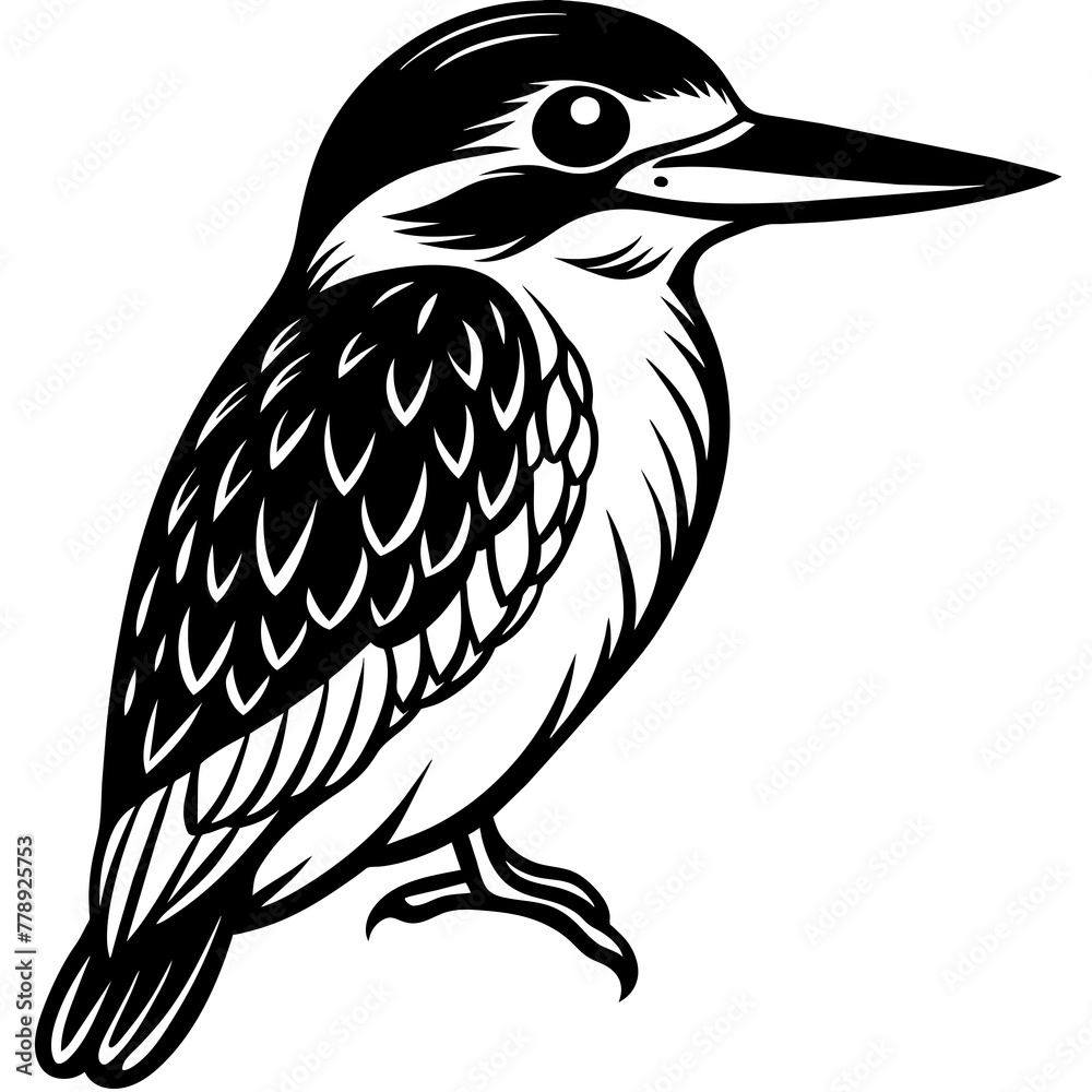 Obraz premium bird on a branch, black Kingfisher silhouette vector illustration,icon,svg,bird characters,Holiday t shirt,Hand drawn trendy Vector illustration,Kingfisher bird on black background