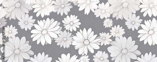 Gray and white daisy pattern  hand draw  simple line  flower floral spring summer background design with copy space for text or photo backdrop 