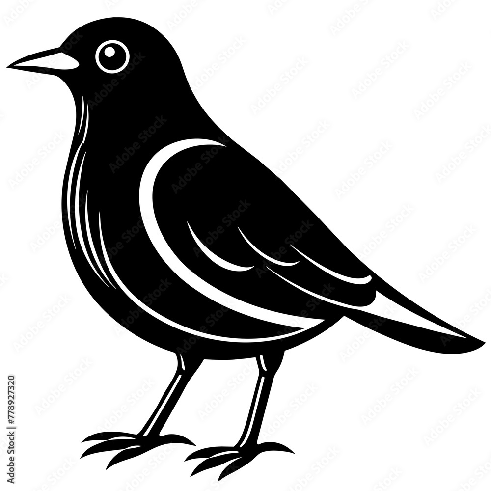 Fototapeta premium bird on a branch, black Kingfisher silhouette vector illustration,icon,svg,bird characters,Holiday t shirt,Hand drawn trendy Vector illustration,crow bird on black background