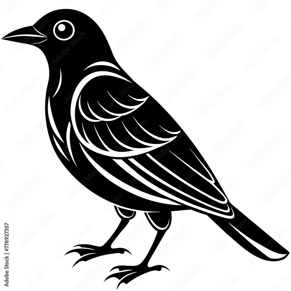 Obraz premium bird on a branch, black Kingfisher silhouette vector illustration,icon,svg,bird characters,Holiday t shirt,Hand drawn trendy Vector illustration,crow bird on black background