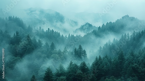   A dense forest, shrouded by thick fog and low-lying clouds on a gloomy day