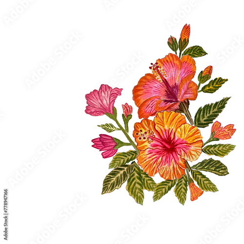 Fototapeta Naklejka Na Ścianę i Meble -  Collection of flowers Hibiscus