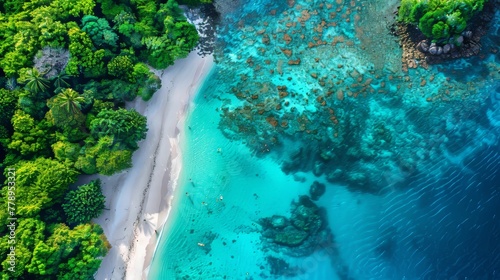 Vibrant coral reefs aerial view, turquoise waters, white sand beach, stunning underwater photography