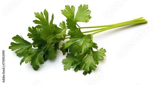 Parsley herb leaves isolated on white background cutout. Healthy food. photo