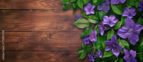A beautiful display of violet flowers with delicate petals and vibrant green leaves set against a rustic wooden background, creating a stunning contrast of colors in nature