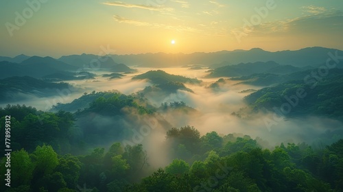   The sun illuminates a valley surrounded by forests and tall trees © Olga