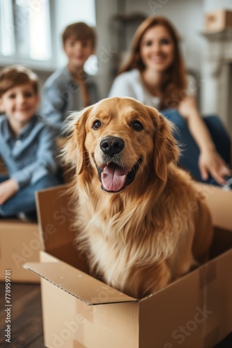 Family with kids and pets moving to new home, cute dog sitting in cardboard box	
