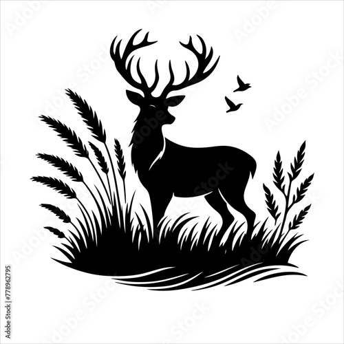 deer vector illustration. Graphic black silhouettes of wild deers – male, female and roe deer