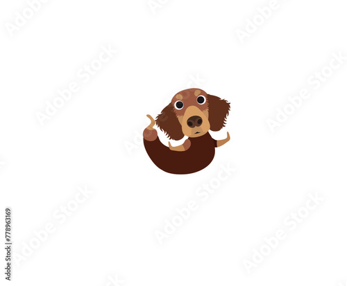 Yoga dachshund 14
