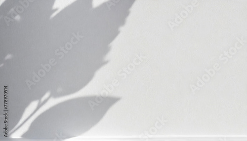 Mockup on a white wall with soft shadows from leaves
