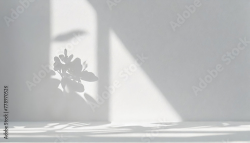 Abstract shadows mockup on white wall.