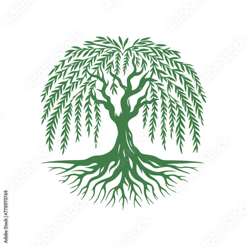 Root tree logo vector. Root of the tree vector logo symbol illustration design, oak tree vintage logo design