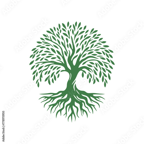Root tree logo vector. Root of the tree vector logo symbol illustration design, oak tree vintage logo design