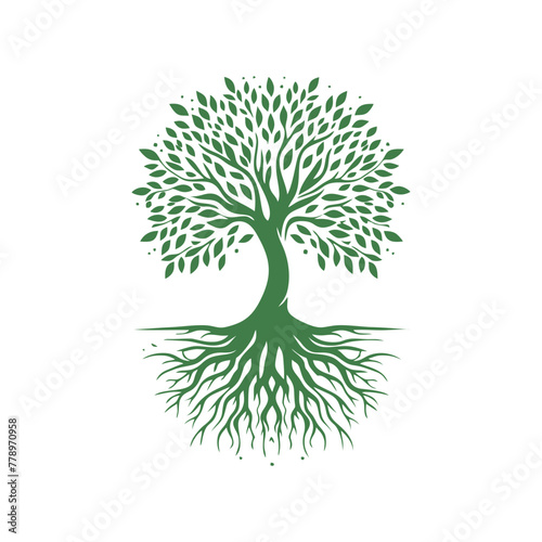 Root tree logo vector. Root of the tree vector logo symbol illustration design, oak tree vintage logo design