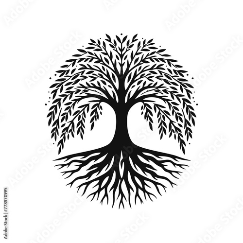 Root tree logo vector. Root of the tree vector logo symbol illustration design, oak tree vintage logo design