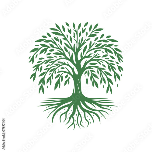 Root tree logo vector. Root of the tree vector logo symbol illustration design, oak tree vintage logo design