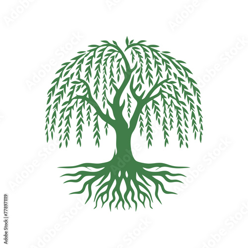 Root tree logo vector. Root of the tree vector logo symbol illustration design, oak tree vintage logo design