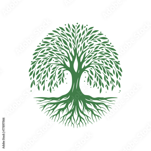 Root tree logo vector. Root of the tree vector logo symbol illustration design, oak tree vintage logo design