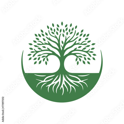 Root tree logo vector. Root of the tree vector logo symbol illustration design, oak tree vintage logo design