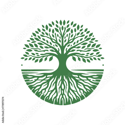 Root tree logo vector. Root of the tree vector logo symbol illustration design, oak tree vintage logo design