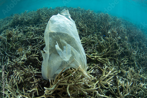 A discarded plastic bag is caught on a coral reef in Raja Ampat, Indonesia. Plastic is a major environmental problem and microplastics are now found ubiquitously in reef ecosystems. © ead72