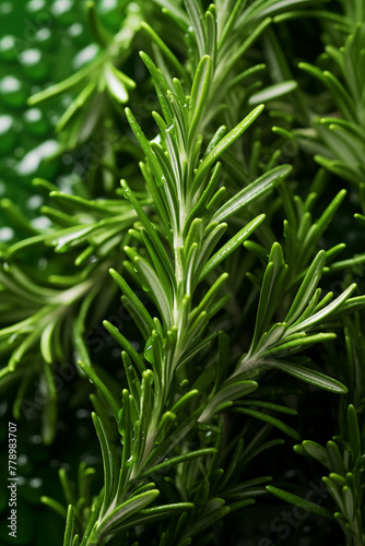 Healthy herb rosemary in a cozy country kitchen, close up. Generative AI tools