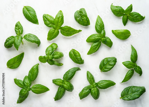 Basil leaves on white marble background top view