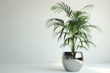Tall, slender palm trees planted in elegant metal pots.