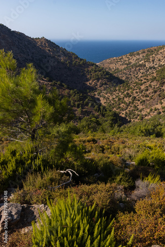 Halari gorge with wooded mountains  canyon and fantastic view to the Nas bay and Aegean sea  