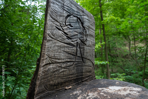 carved wood in Canadian forest